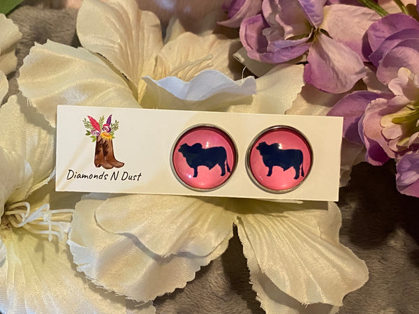 20mm Brahman Stud Earrings