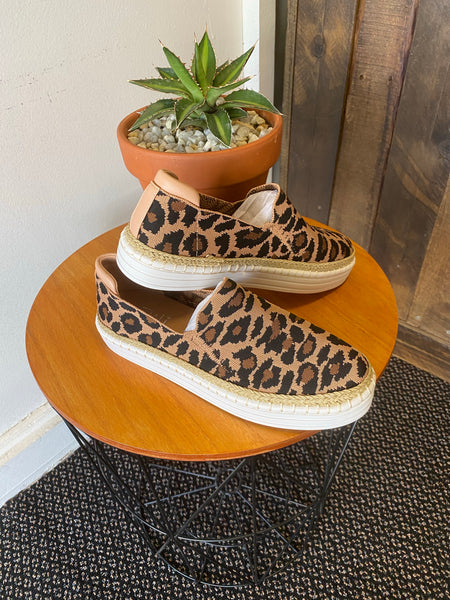 Queen Bee sneaker leopard (sizes 40)