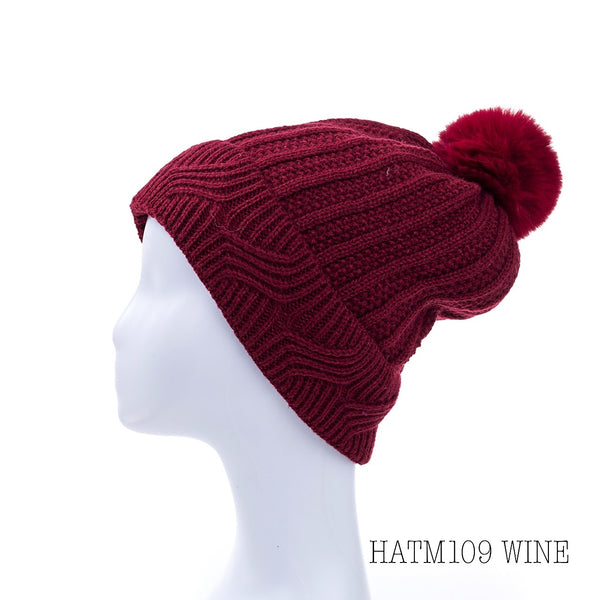 Fleece lined Beanie (4 colour options)