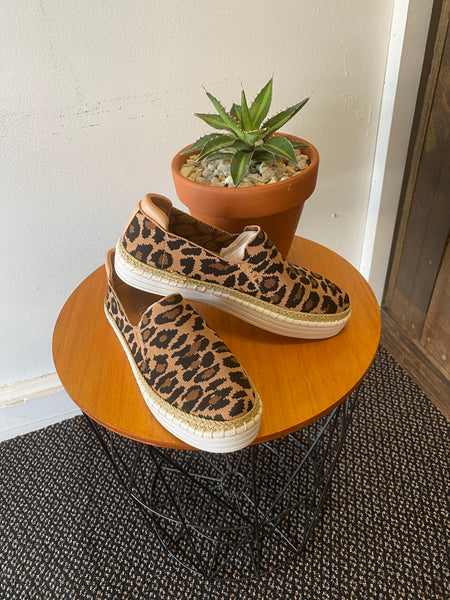 Queen Bee sneaker leopard (sizes 40)