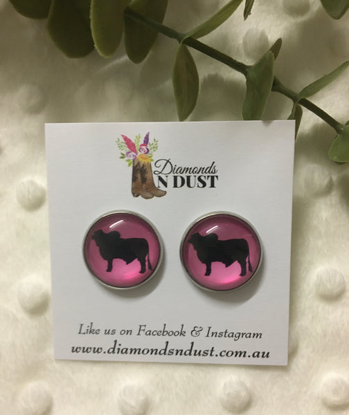 20mm Brahman Stud Earrings